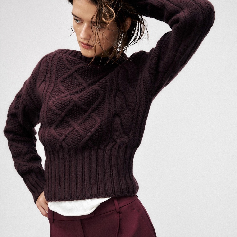 NWT 100% WOOL KNIT SWEATER LIMITED EDITION